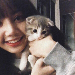 Lisa 女头
