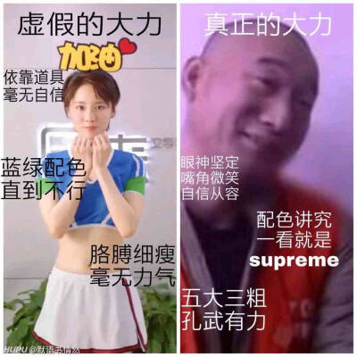 成果 诸葛大力表情包 转自微博