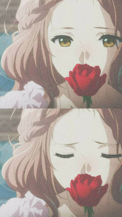 紫罗兰永恒花园