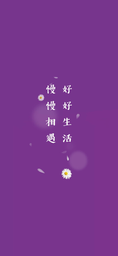 鼠年壁纸 啊 新年壁纸