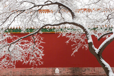 #紫禁城的瑞雪#一场飞雪，一座城。
图源：weibo 侵删