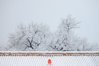 #紫禁城的瑞雪#一场飞雪，一座城。
图源：weibo 侵删