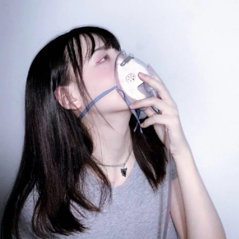 不二传