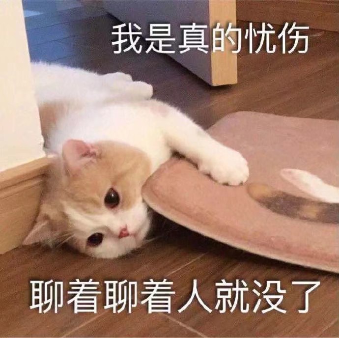 猫咪表情包可爱