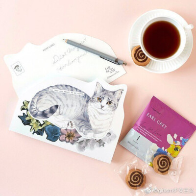 日本家居品牌✨Afternoon Tea✨与✨Cat's ISSUE✨推出的Cat's Nap Time系列商品～都是猫猫元素好可爱！
（ins：catsnaptime） ​​​