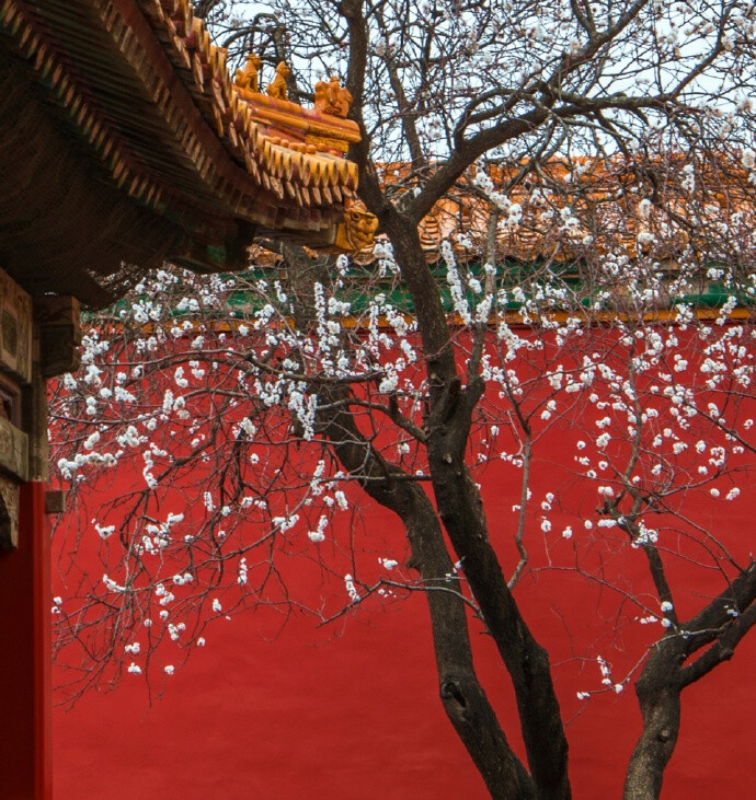 故宫，来源；微博中国书画诗词院