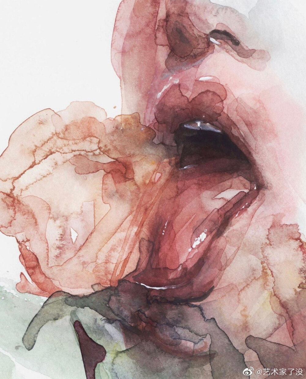 Agnes cecile