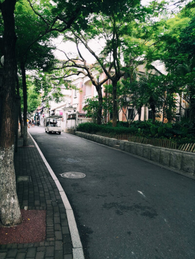 鼓浪屿 记忆 绿荫