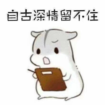 表情包 套路