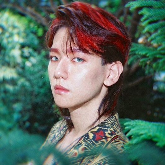 BAEK HYUN