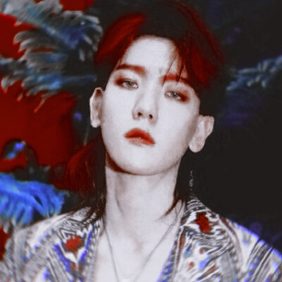 X·BAEK HYUN