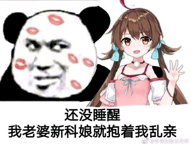 新科娘