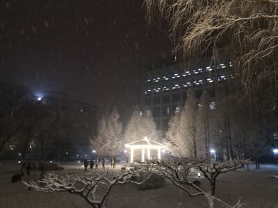 学校里的雪，北京请继续下雪吧