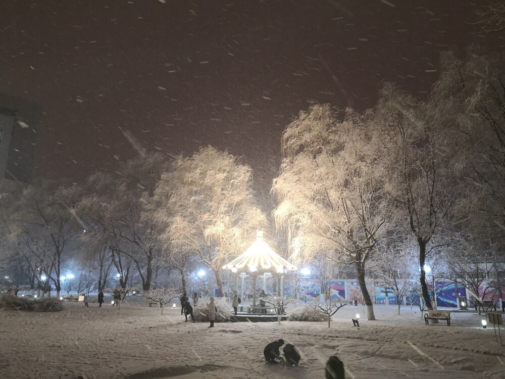 学校里的雪，北京请继续下雪吧