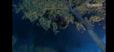 吴磊 神雕侠侣 杨过