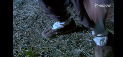 吴磊 神雕侠侣 杨过