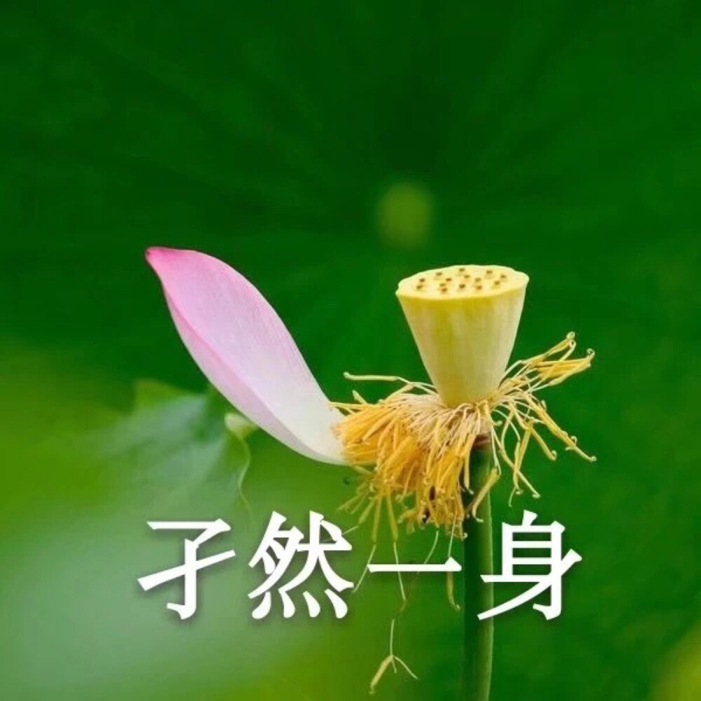 风格独特