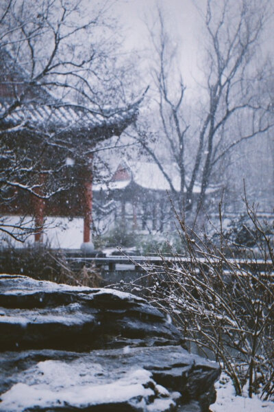 金陵初雪
摄影师：@这就是多多多
#恋上冬日# #你好2020# ​