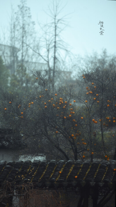 #最南京,全民拍##随手拍身边的美好#
【瞻园】雨中素心。
摄影 @烟波里的棠