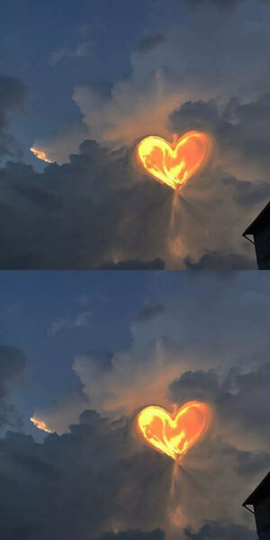 壁纸 背景 《人间观察日记》