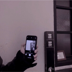 壁纸 背景 《人间观察日记》