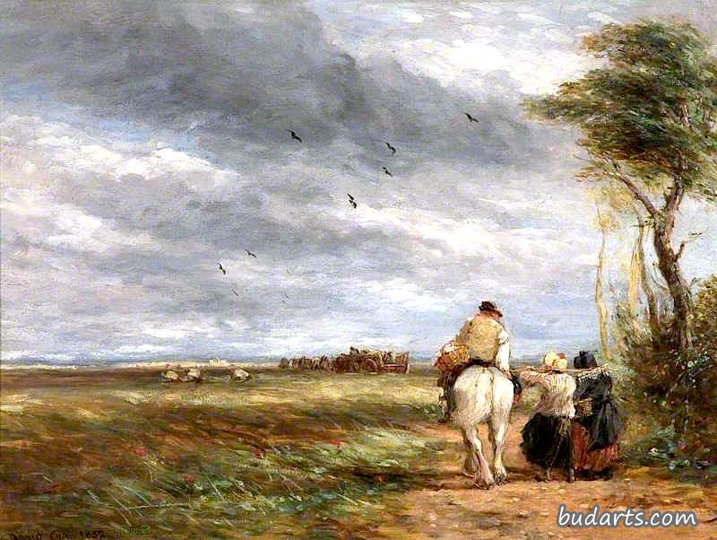 David Cox