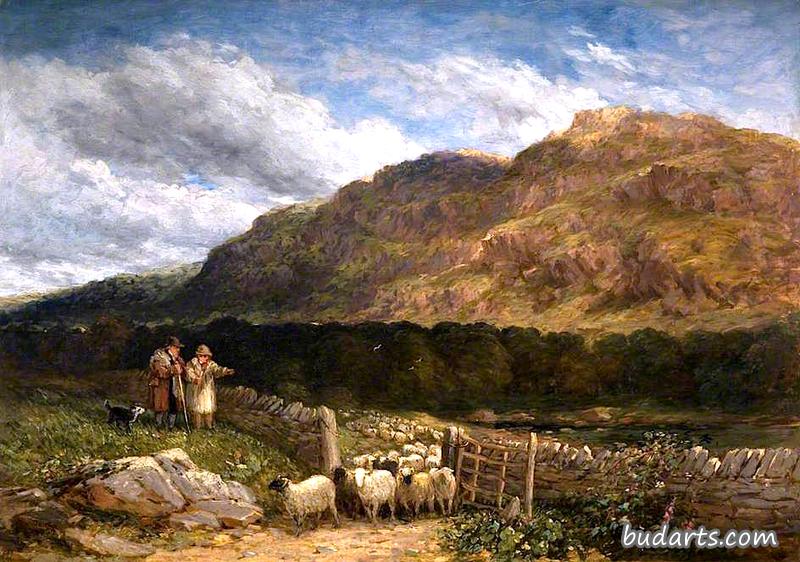 David Cox