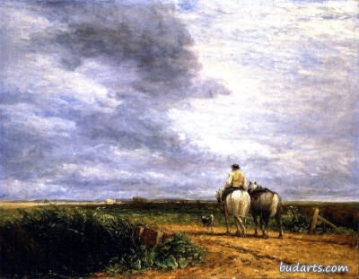 David Cox