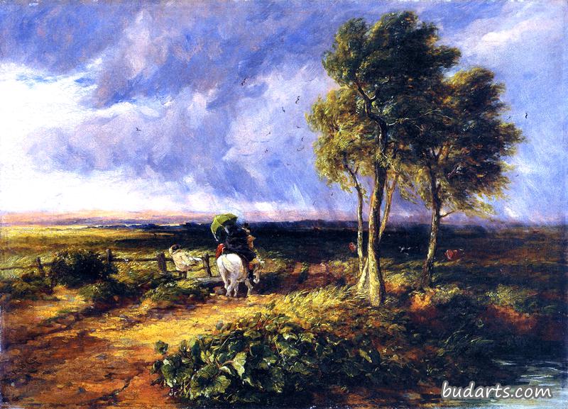 David Cox