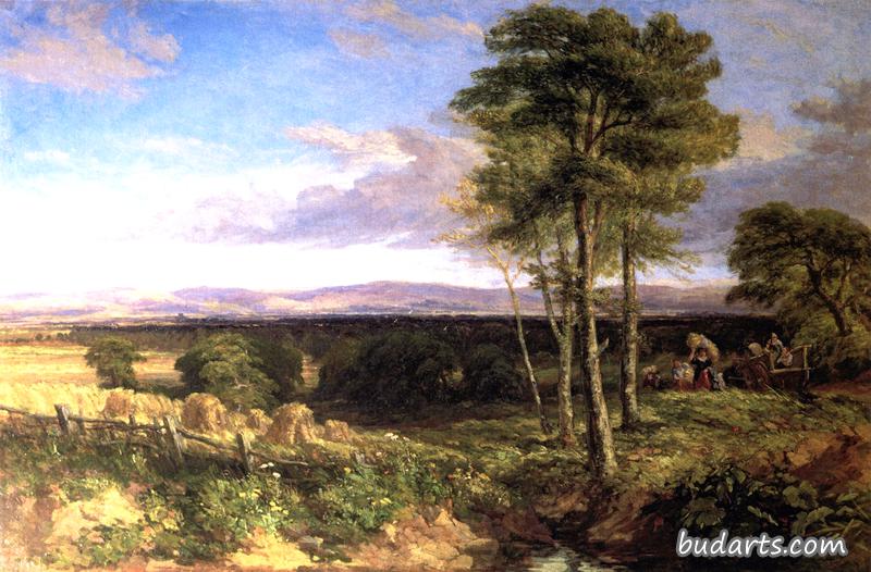 David Cox