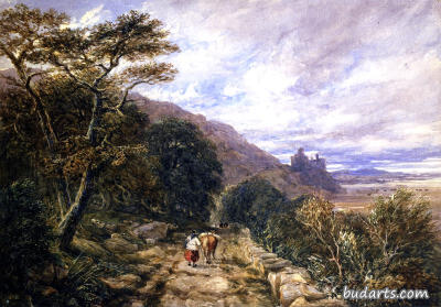 David Cox