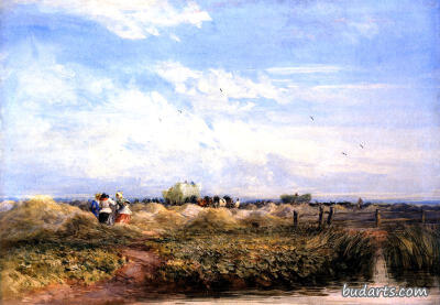 David Cox