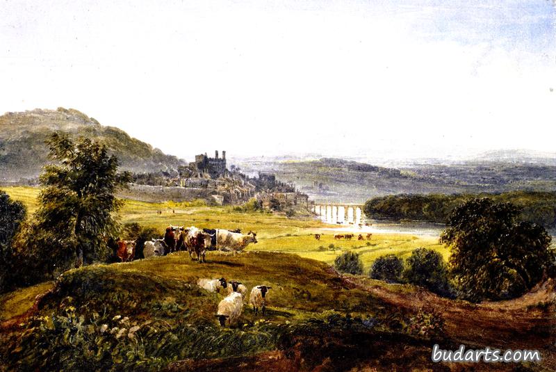 David Cox