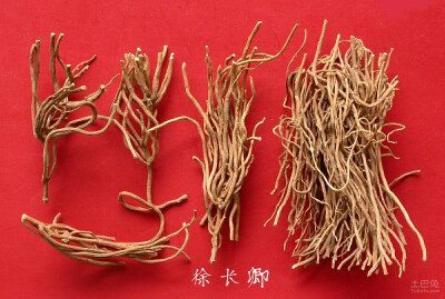 徐长卿，中药名。为萝藦科植物徐长卿Cynanchumpaniculatum（Bunge）Kitag.的根及根茎，或带根全草。具有祛风除湿，行气活血，去痛止痒，解毒消肿的功效。主治风湿痹痛，腰痛，脘腹疼痛，牙痛，跌扑伤痛，小便不利，…