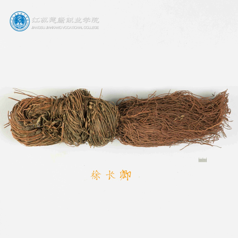 徐长卿，中药名。为萝藦科植物徐长卿Cynanchumpaniculatum（Bunge）Kitag.的根及根茎，或带根全草。具有祛风除湿，行气活血，去痛止痒，解毒消肿的功效。主治风湿痹痛，腰痛，脘腹疼痛，牙痛，跌扑伤痛，小便不利，泄泻，痢疾，湿疹，荨麻疹，毒蛇咬伤。