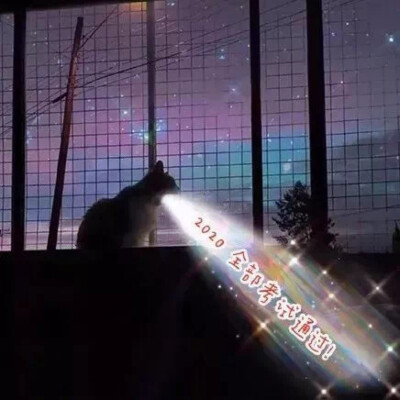 爱是一道光……