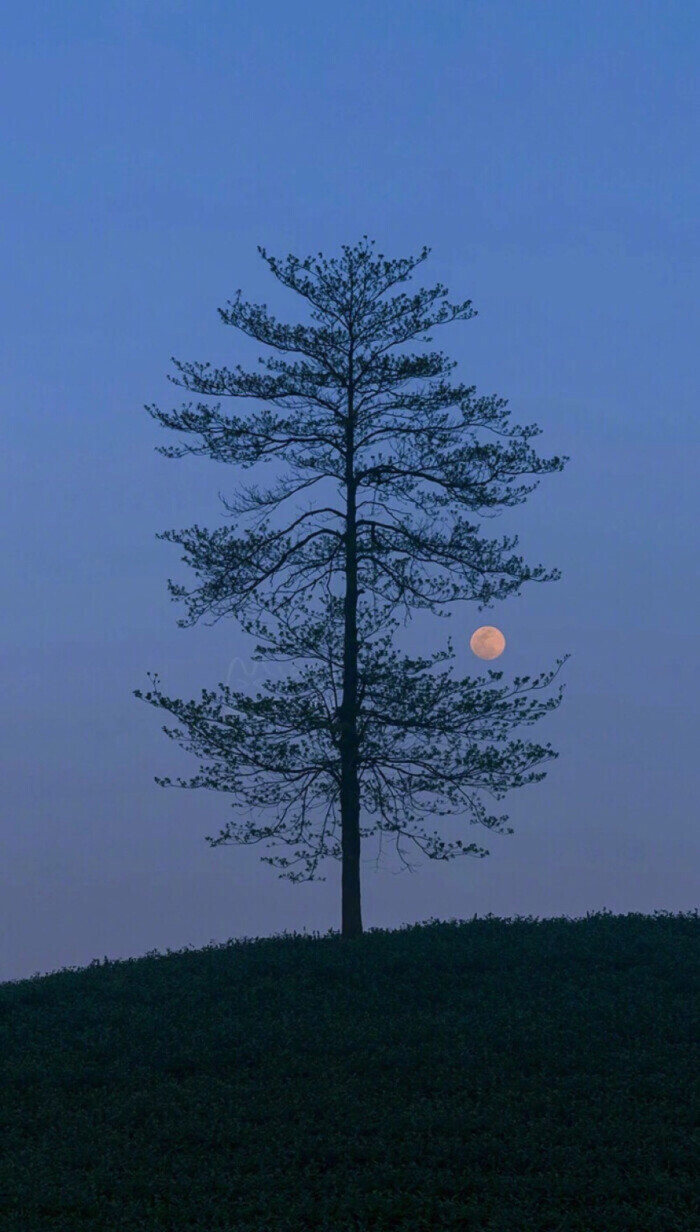 佛典有云：旗未动，风也未吹，是人的心自己在动。—东邪西毒