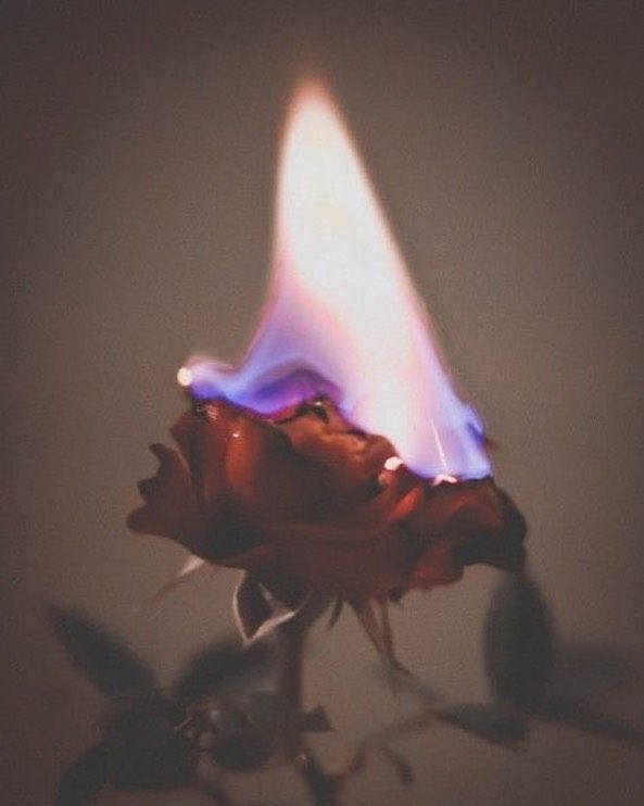 ᴸⁱᵛᵉ ᵃ ᵍᵒᵒᵈ ˡⁱᶠᵉ ᵐᵉᵉᵗ ˢˡᵒʷˡʸ
（好好生活 慢慢相遇）