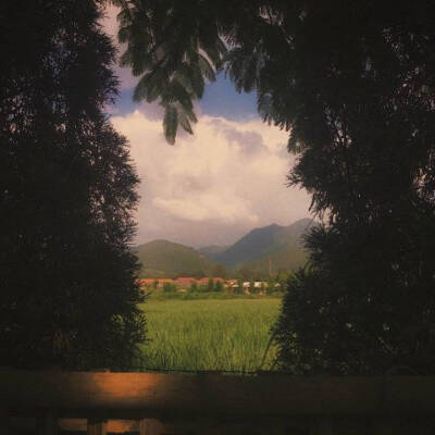 我长得这么好看，完全归功于我的父母，是他们给了我这张胡说八道的嘴