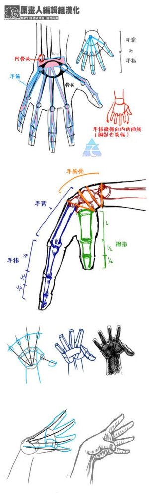 比例结构透视