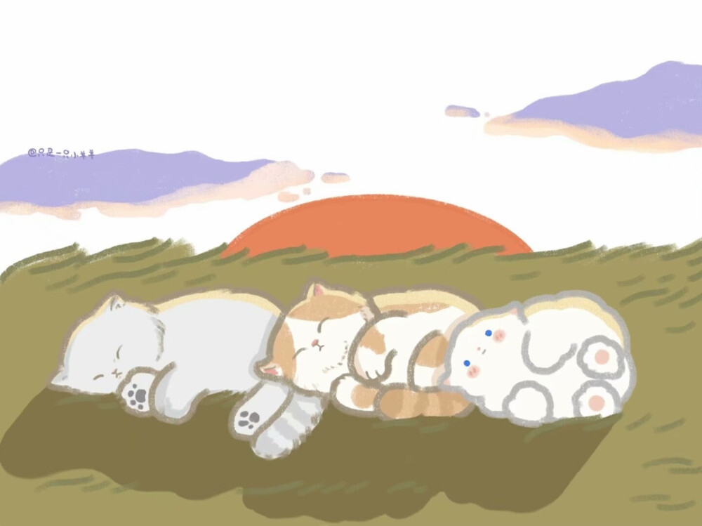 wb：只是一只小阳阳