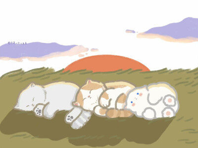 wb：只是一只小阳阳