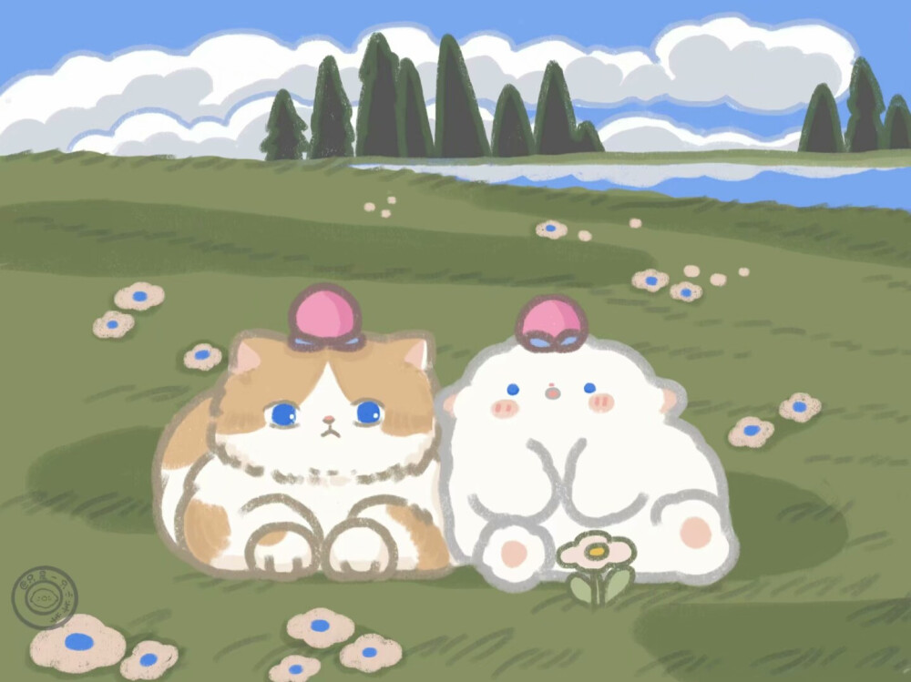 wb：只是一只小阳阳