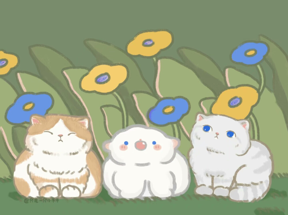 wb：只是一只小阳阳