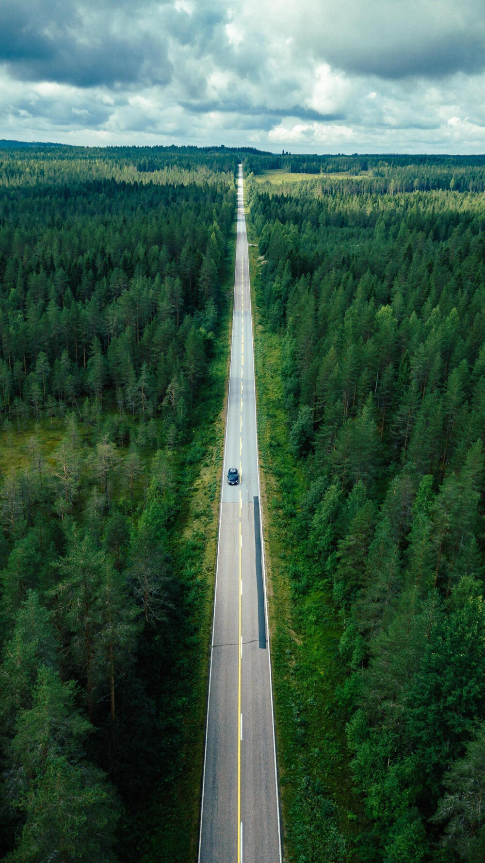 不管前方的路有多苦,只要走的方向正确