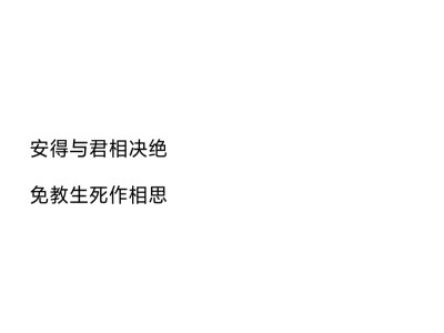 文字 情话