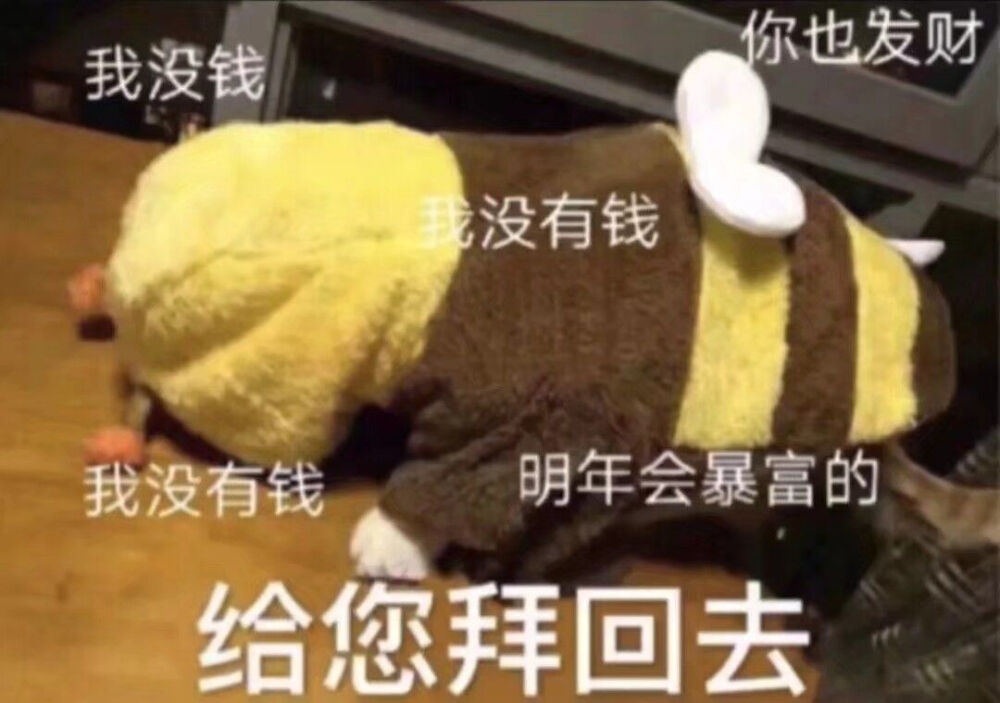 过年表情包