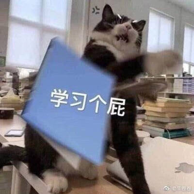 表情包