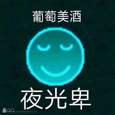 表情包哈哈哈哈哈哈哈哈哈