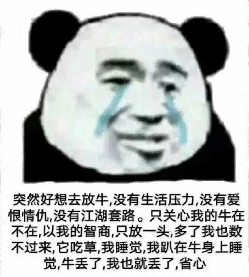 表情包哈哈哈哈哈哈哈哈哈